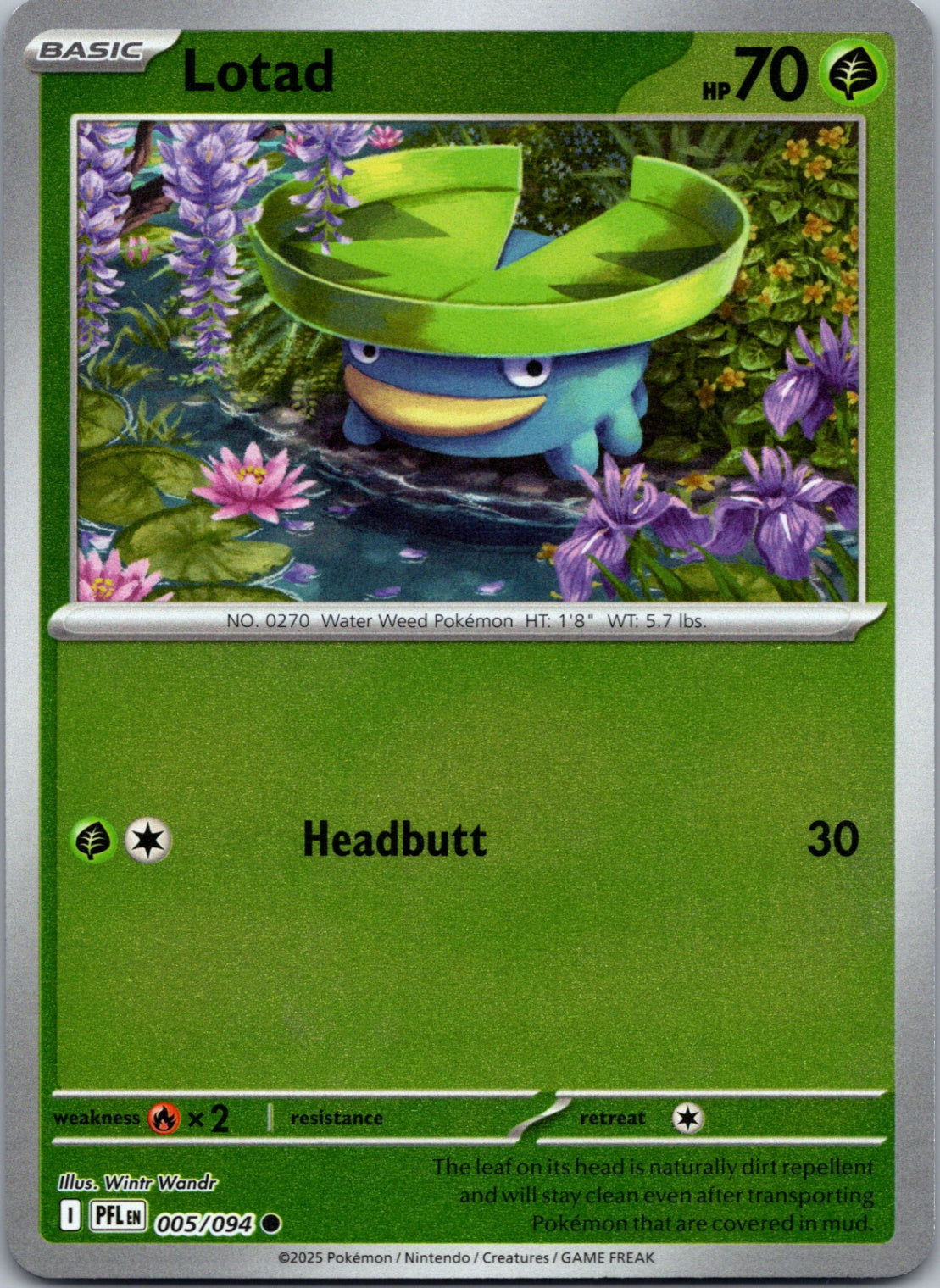Pokemon TCG ME02: Phantasmal Flames - Lotad Common Reverse Holo 005/094 NM