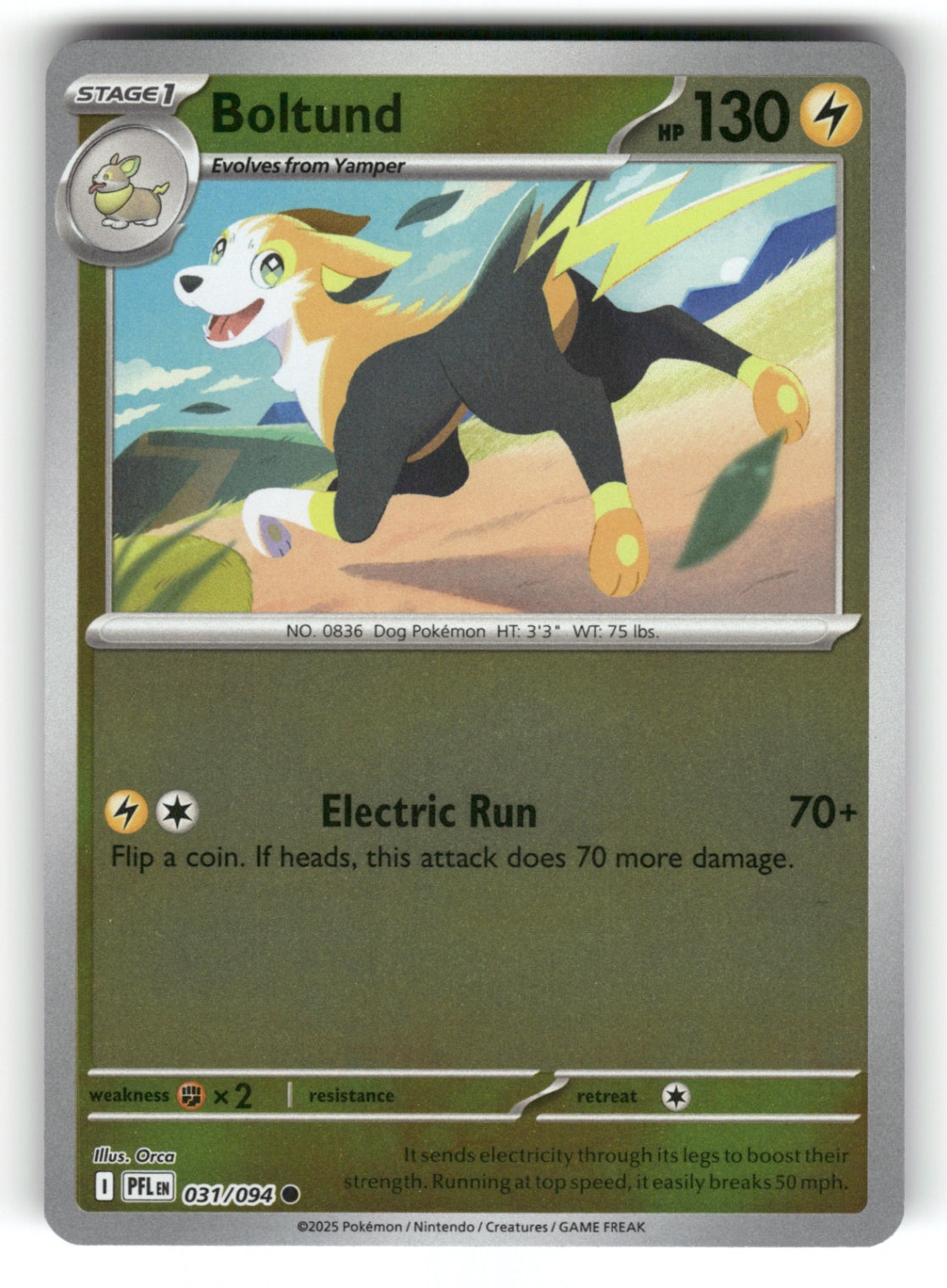 Pokemon TCG ME02: Phantasmal Flames - Boltund Common Reverse Holo 031/094 NM